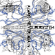 Illustration for article titled 2005: The Year In Music